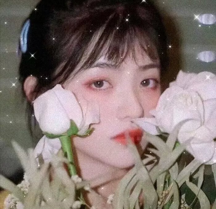 姐妹情谊
